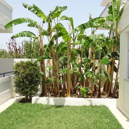 Michalis Apartamento Tílos